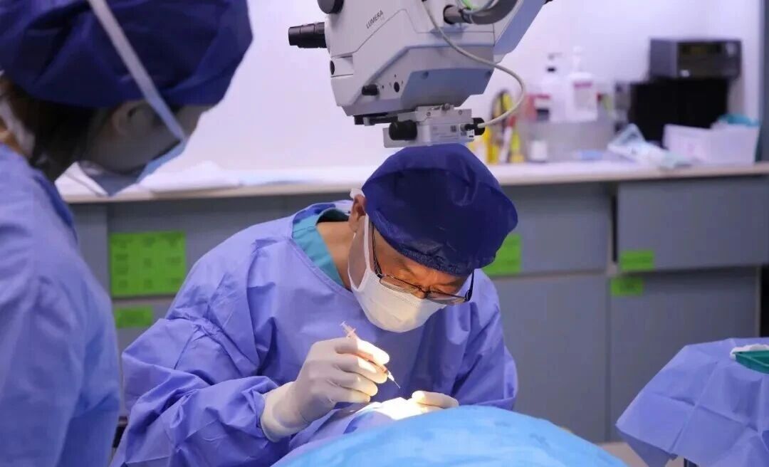 实力医生2026推荐深圳希玛林顺潮眼科医院眼底病科主任张敬法